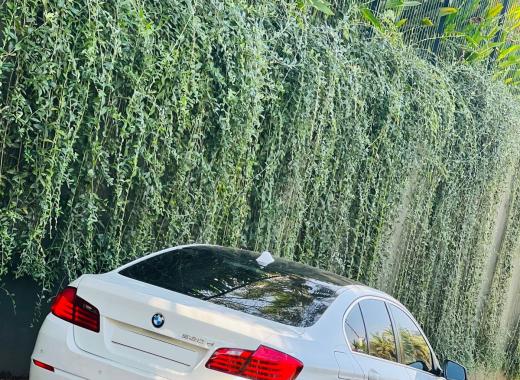 BMW 520D white