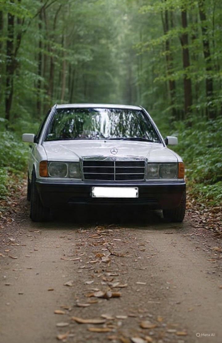 Mercedes Benz W124