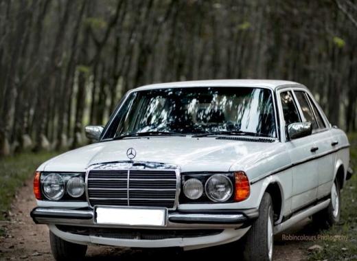 W123 Benz White