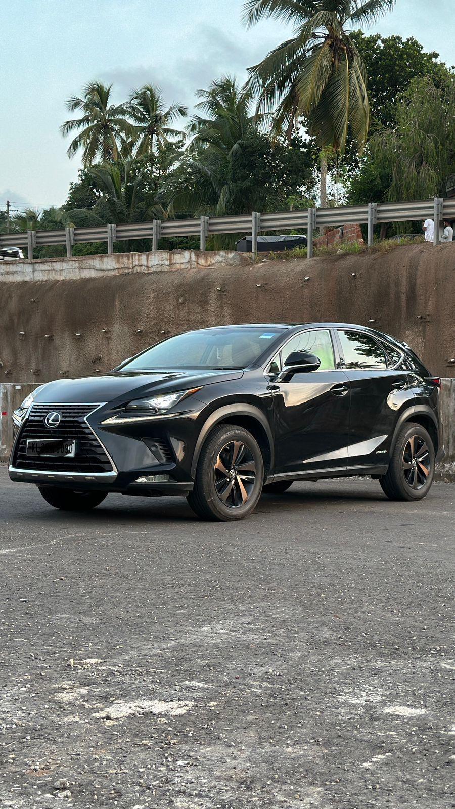 Lexus NX 300h