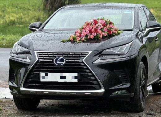 Lexus NX 300h