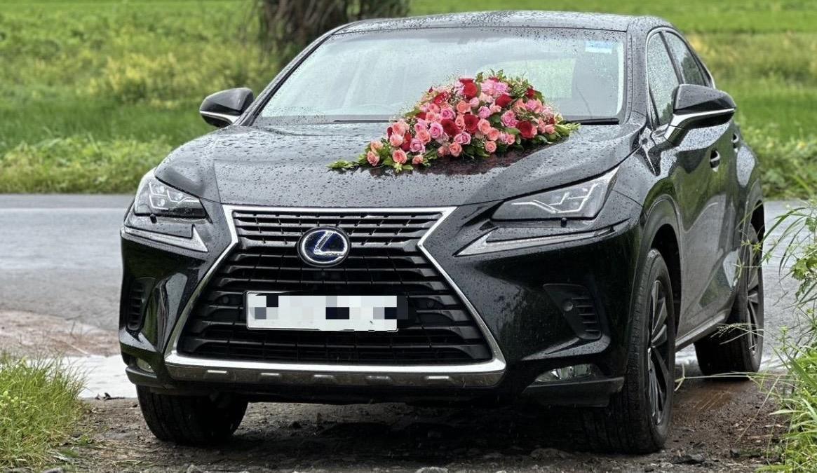 Lexus NX 300h