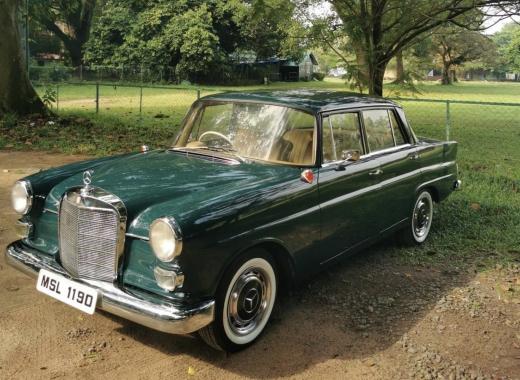 W112 Green